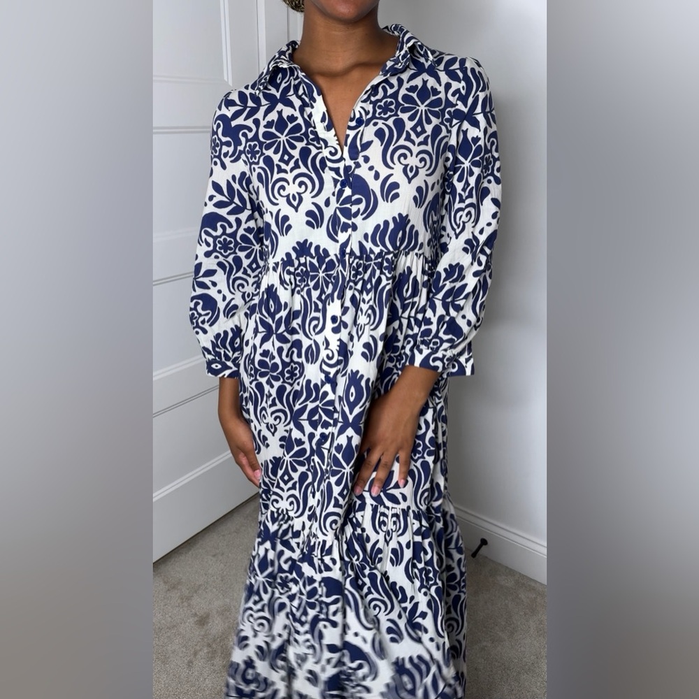 Zara Blue and White Floral Button Down Dress